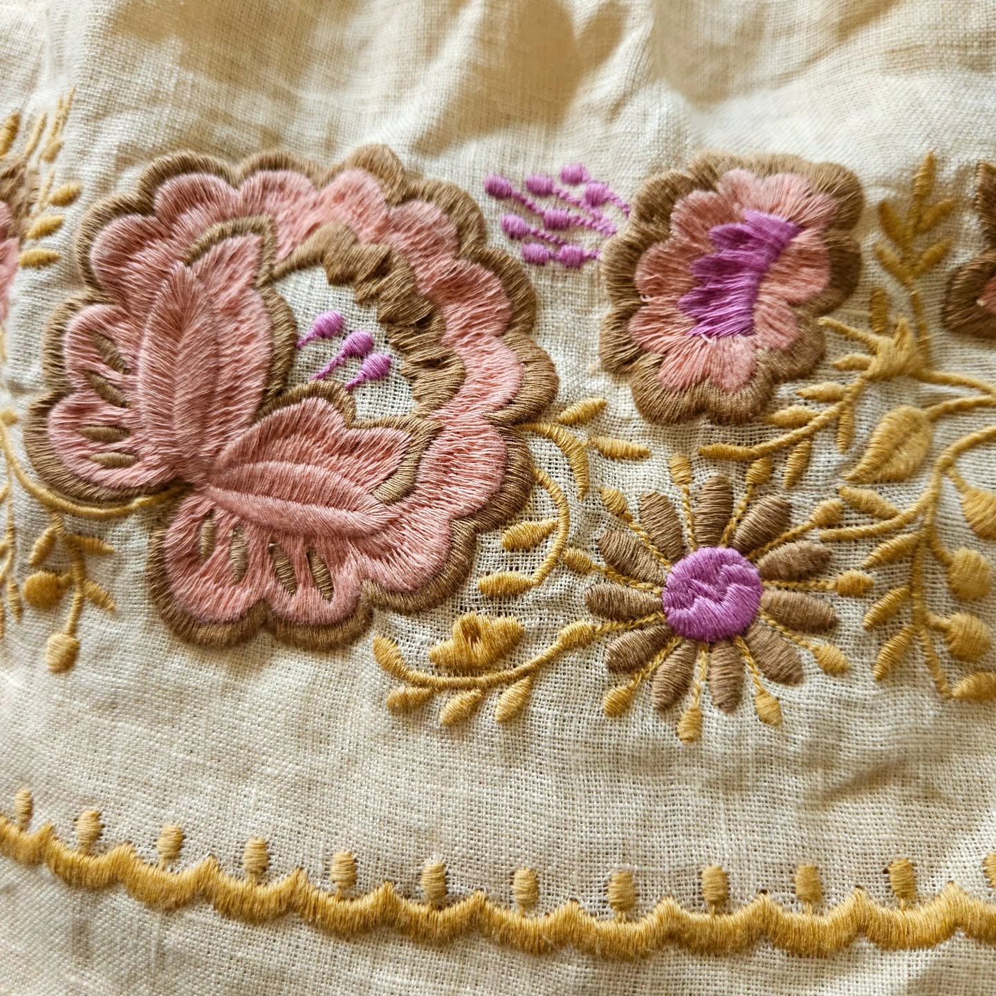 아폴리나 미아자수핀 - 이미지 5